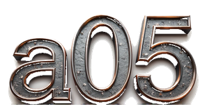 a05 logo